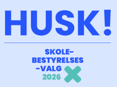 SB valg